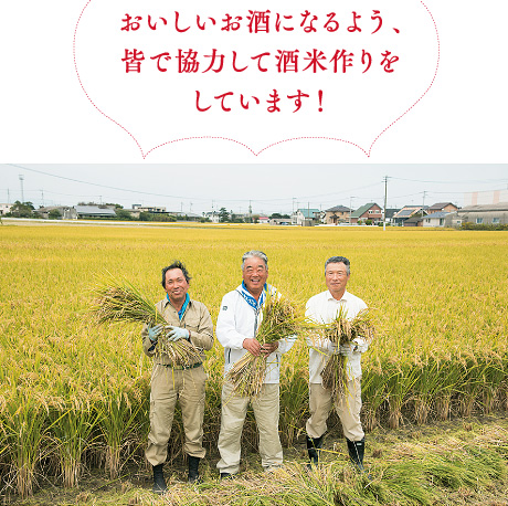 池田千代次（いけだ ちよじ）さん・田川勉さん・室岡豊（むろおか ゆたか）さん「おいしいお酒になるよう、皆で協力して酒米作りをしています！」