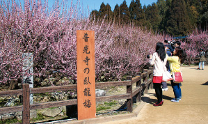 普光寺（ふこうじ）の写真