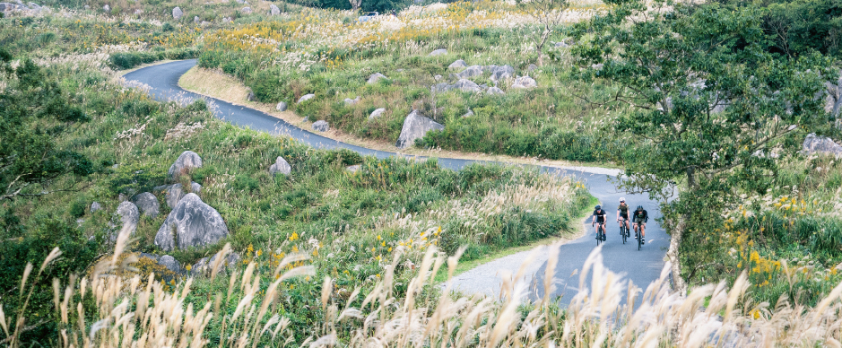 八幡〜香春〜築上〜平尾台　道中のスナップ写真5