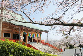 成田山不動寺（なりたさんふどうじ）の写真