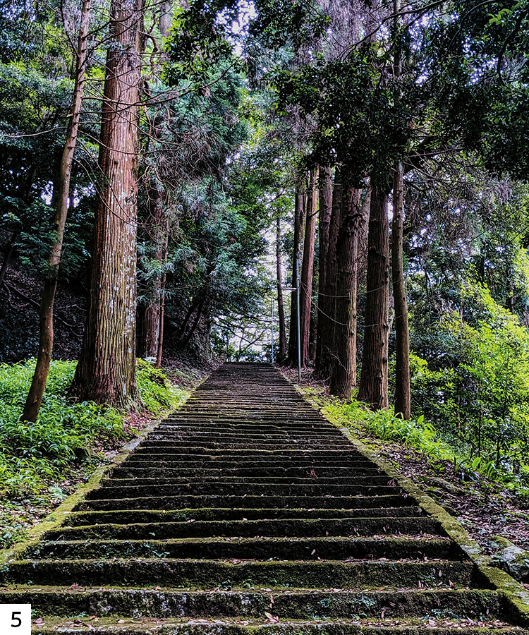 馬見神社の境内から社殿へ続く石段の写真