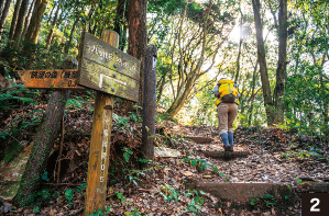 【2】登山口から徐々に深くなる木々を抜けて上を目指す様子２