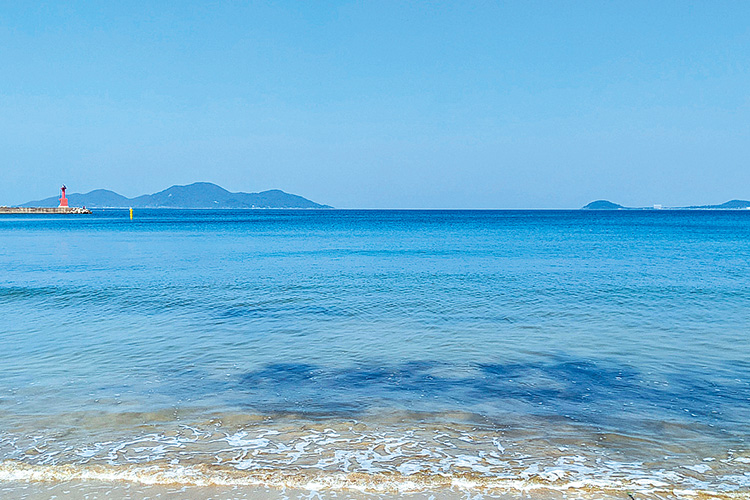 美しい浜辺の写真