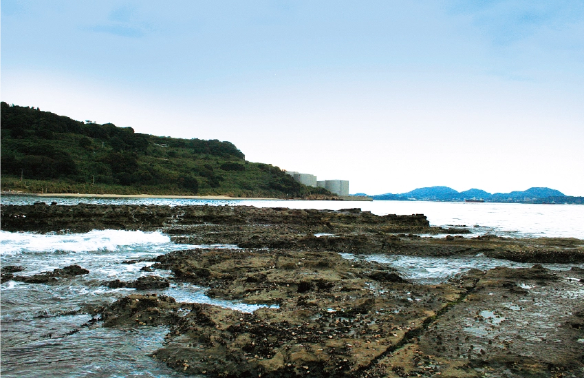 海岸の写真