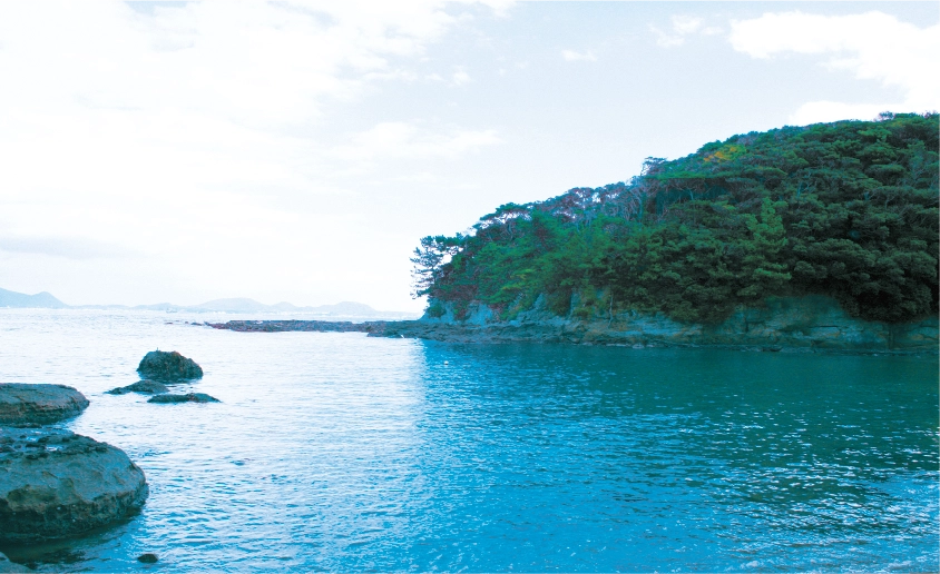 海岸線の写真