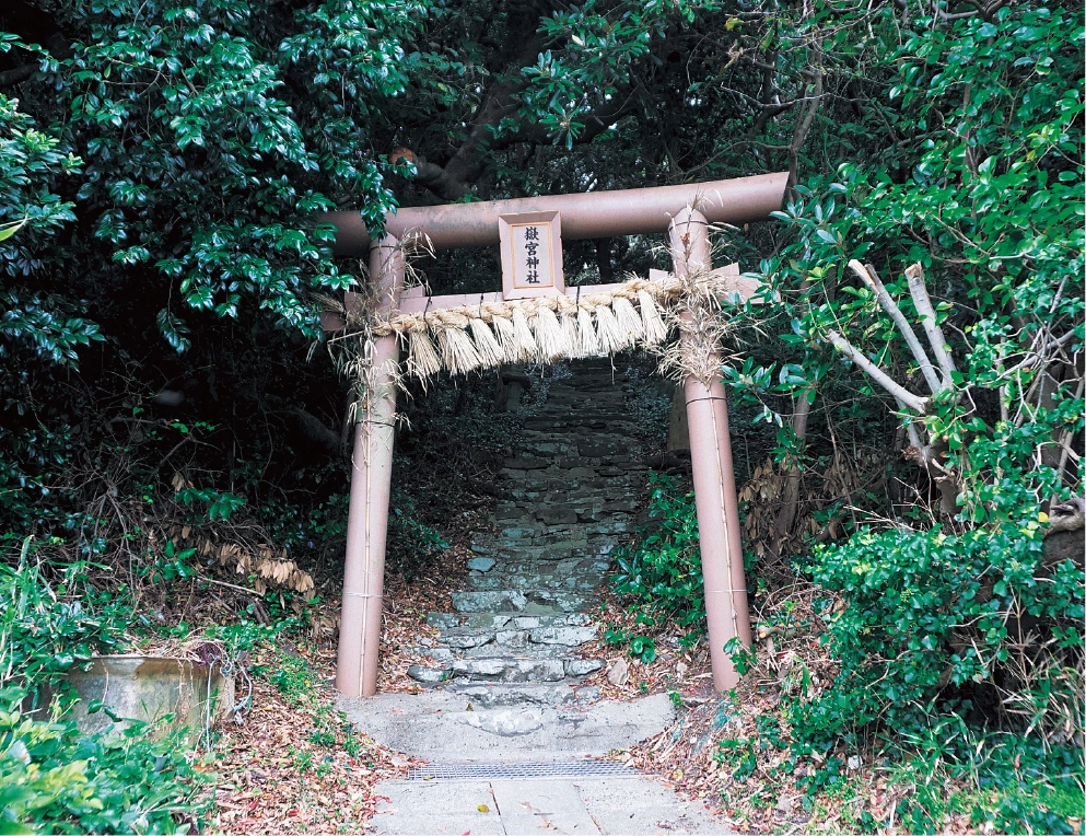 嶽宮神社（たけのみやじんじゃ）の写真