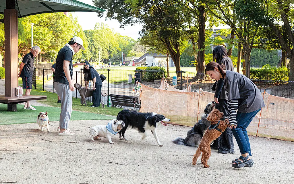 春日公園の写真2
