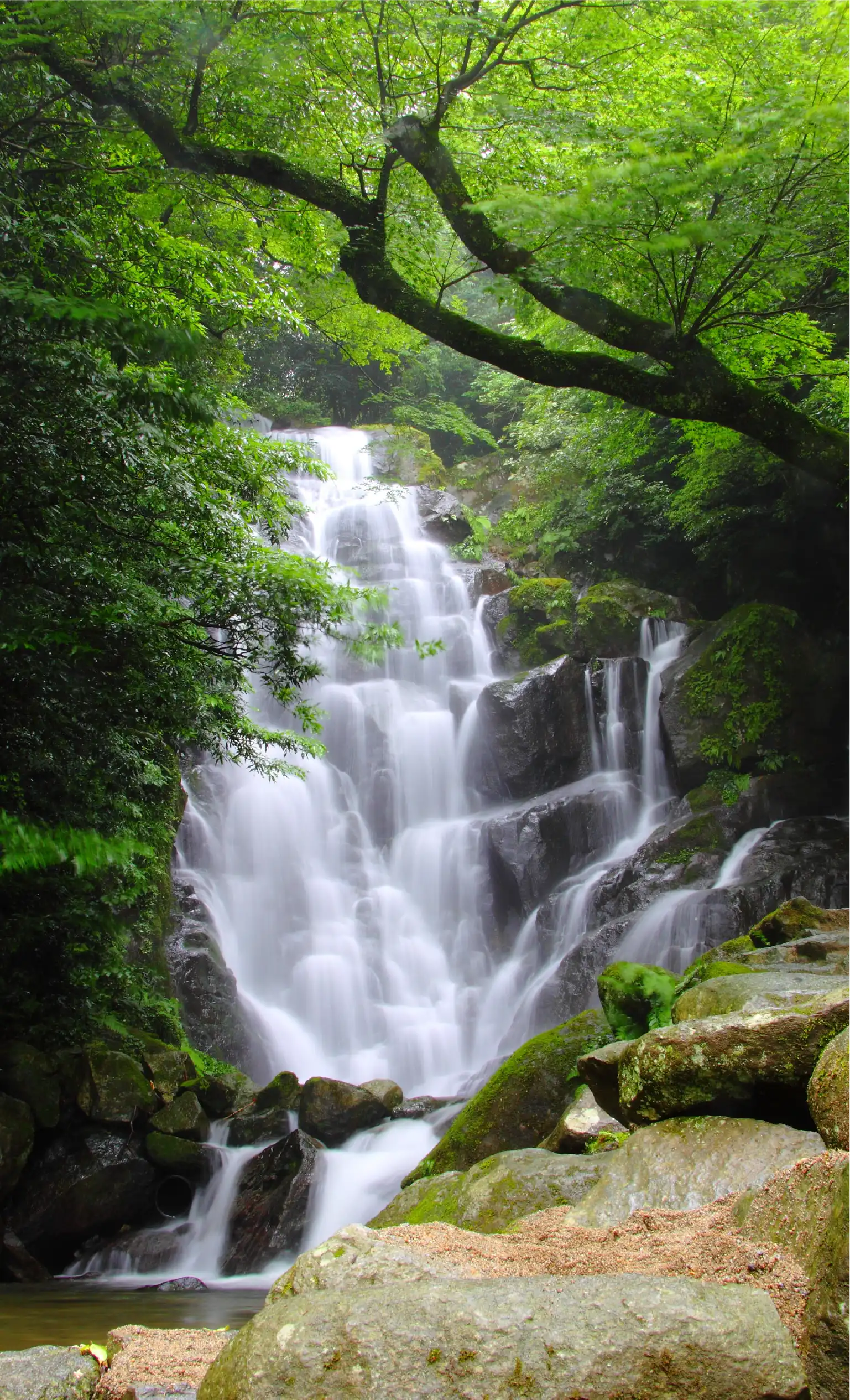 白糸の滝の写真1
