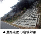 道路法面の崩壊対策　画像