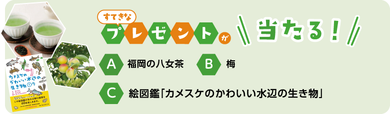 すてきなプレゼントが当たる！ A.福岡の八女茶 B.梅 C.絵図鑑「カメスケのかわいい水辺の生き物」