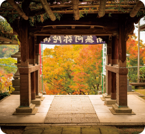 吉祥寺 写真