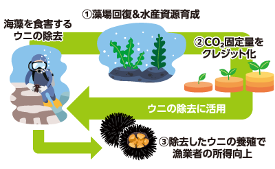 ブルーカーボン 図