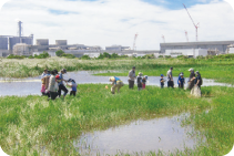 水生昆虫観察会 イメージ画像
