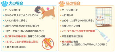 健康管理としつけ