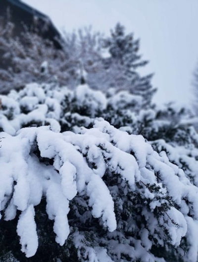 雪が積もった日の様子