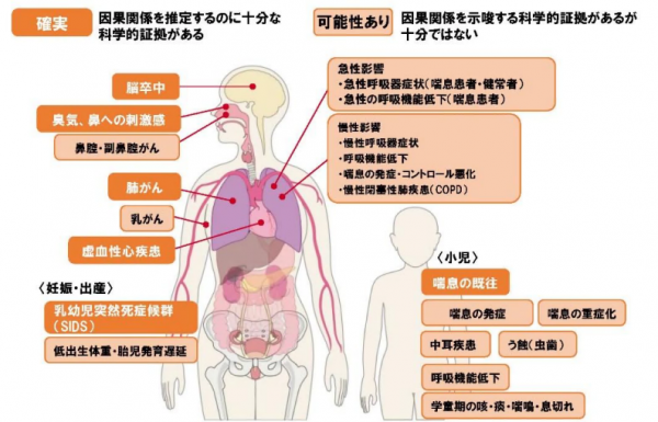 受動喫煙による健康影響