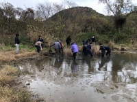 抜去作業