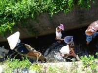 水生生物採取中１