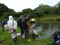 水生生物採取中