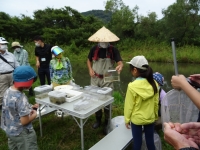 水生生物の解説