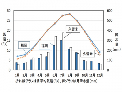 気温及び降水量