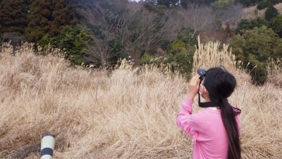 奥に何かいないか探索中。（女の子）