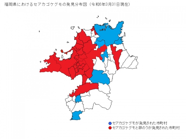 分布図R6.3.31