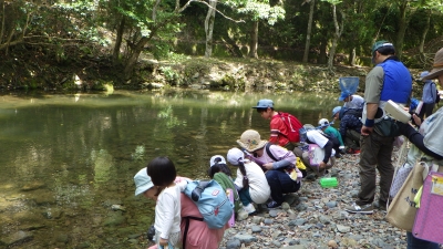 川で生き物を探し中