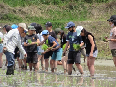 田植えの指導を受ける苗をもった児童たち