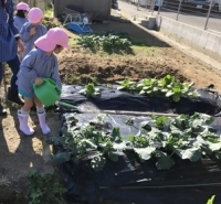 雨水タンクの活用風景