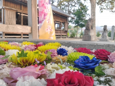 産地での飾花の過去事例（糸島花手水）