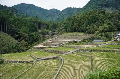 竹棚田