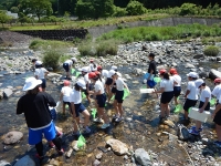 水辺教室の水生生物観察