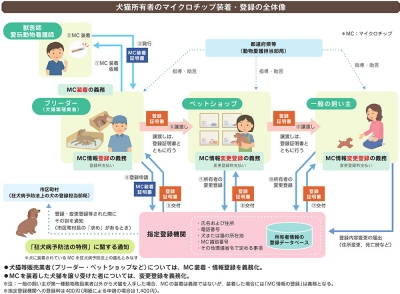 マイクロチップ装着・登録の全体像