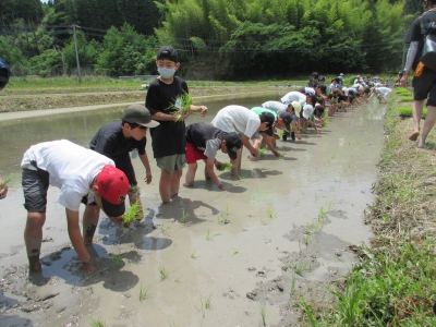田植え体験（R6）