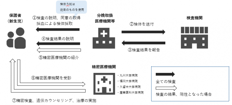 検査フロー図
