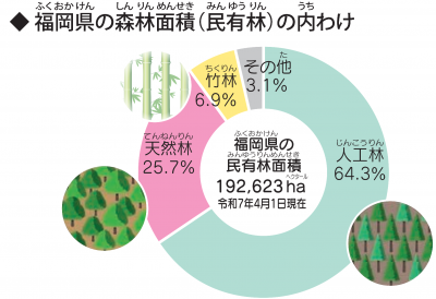 福岡県の森林面積の内訳