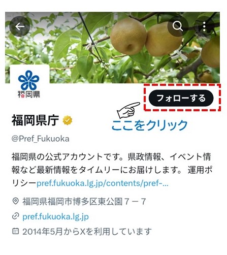 フォロー画面
