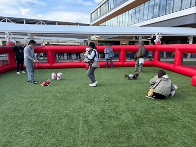 エアー式ドッグラン(イメージ)