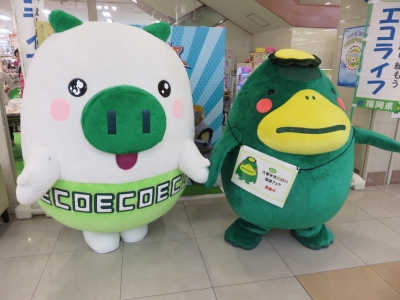 エコトン