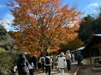 自然観察