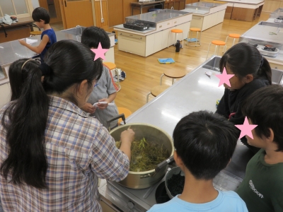 小学校自然観察１