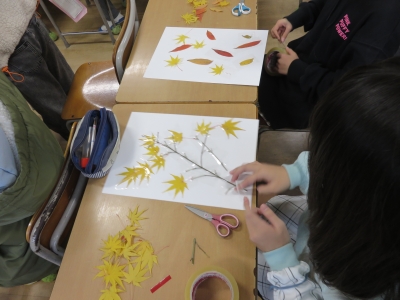 小学校自然観察２