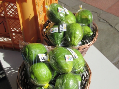 里山レモンの会④