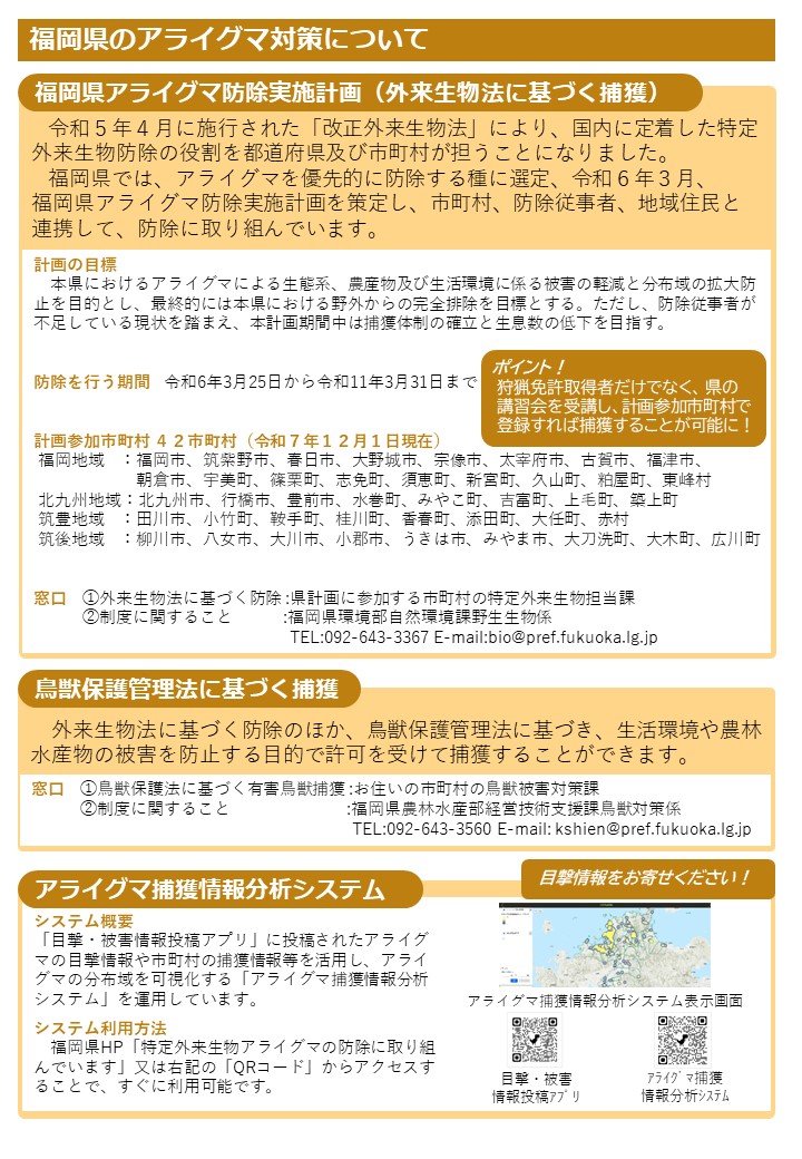 アライグマリーフレットウラ