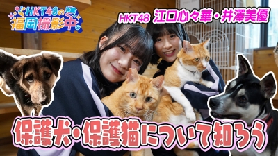 保護犬・保護猫について知ろう