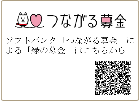 つながる募金