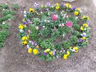 後藤寺小学校　写真２