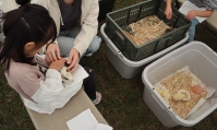 ふれあい動物園