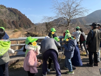 野鳥に焦点を合わせている